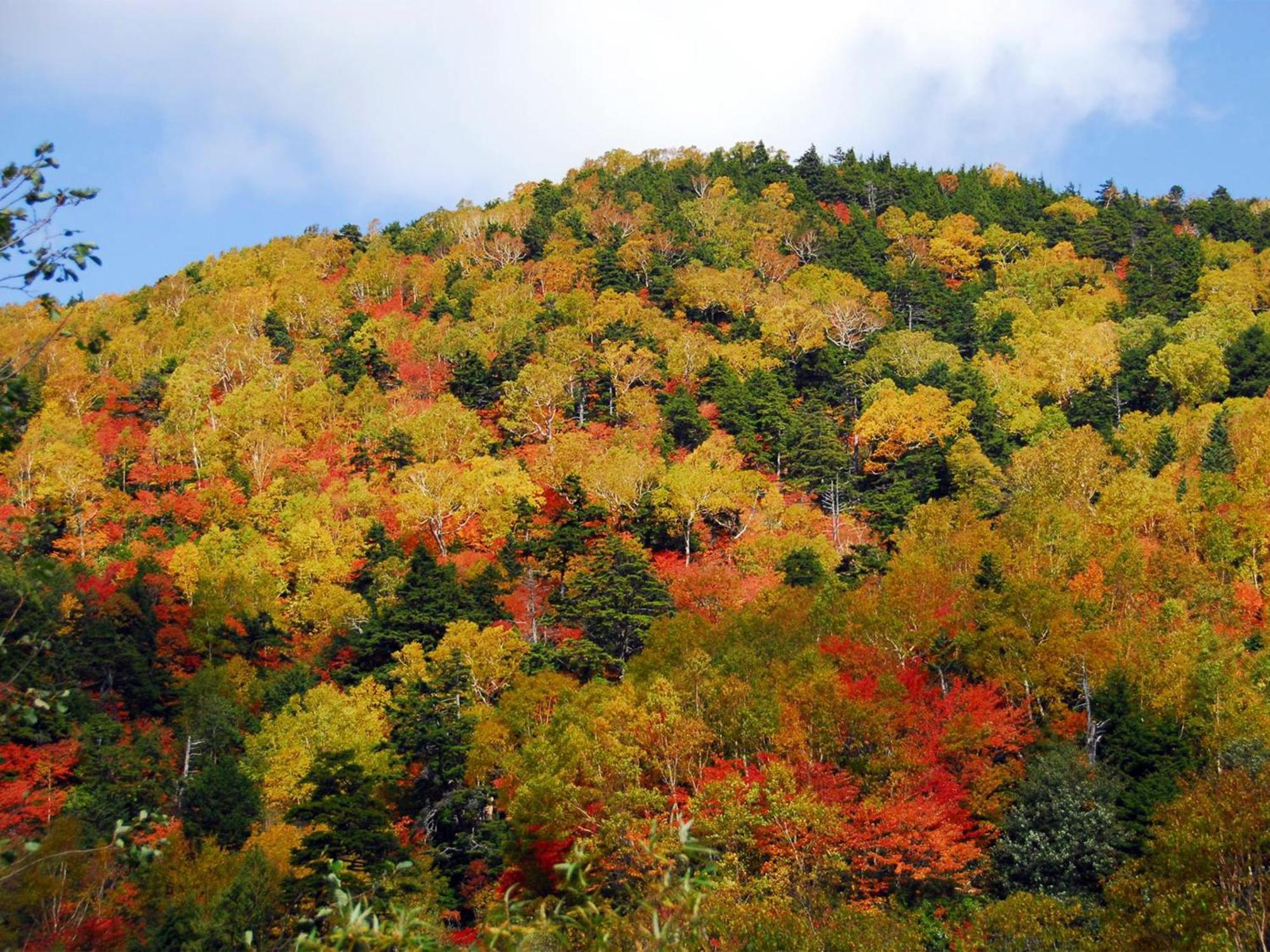 Hotel Ichinose Yamanouchi  Bagian luar foto